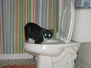 He still has a few issues, but we have discussed rehab 