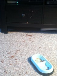 A moment captured in the aftermath with a small fraction of the fishy drippings.