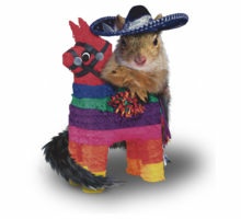 Google has everything. Thank you for this Google!