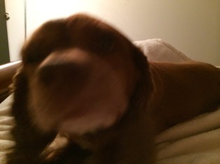 In the safety of my room, she is outgoing