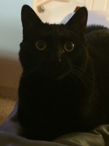 This is Ninja Squee; she loves everyone.