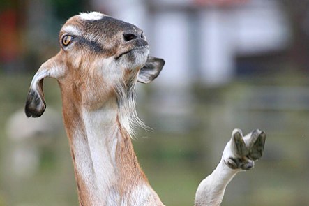 You're doing it. You're really doing it. 